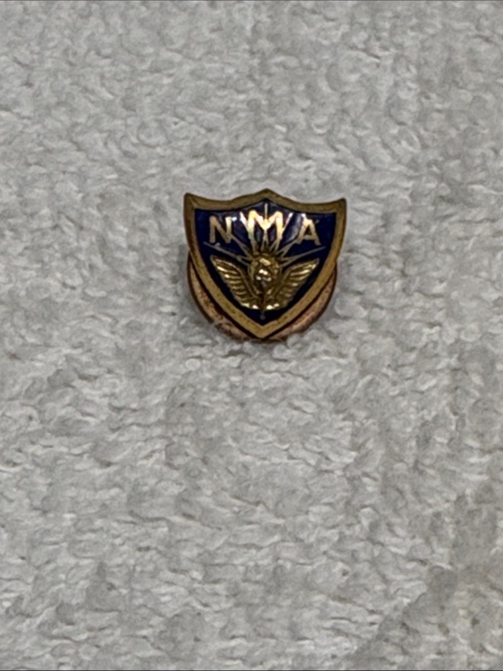 Vintage National Management members pin.